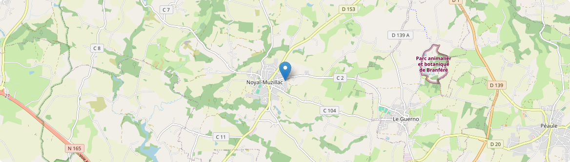 Noyal-Muzillac - Carte