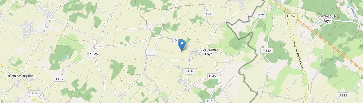 Nueil-sous-Faye - Carte