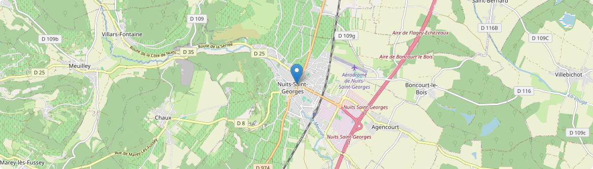 Nuits-Saint-Georges - Carte
