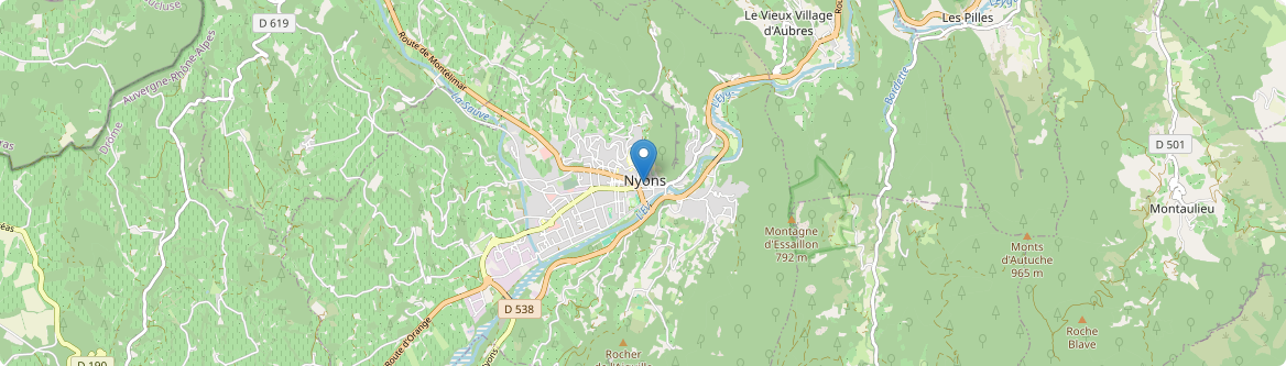 Nyons - Carte