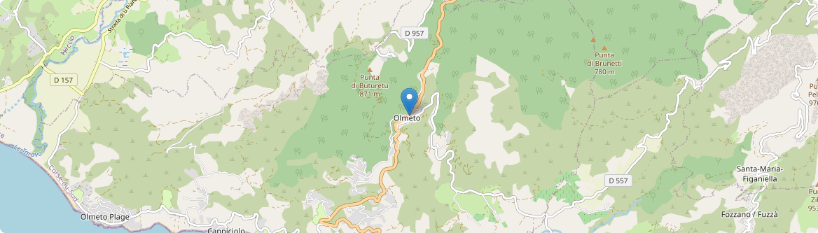 Olmeto - Carte