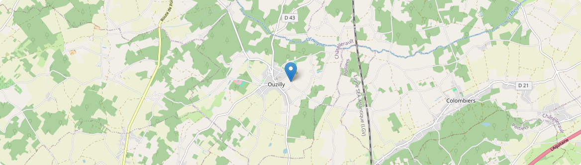 Ouzilly - Carte