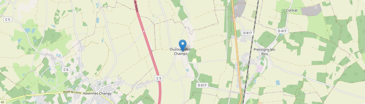 Ouzouer-des-Champs - Carte