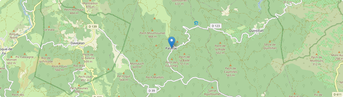Palairac - Carte