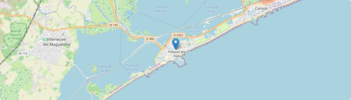 Palavas-les-Flots - Carte