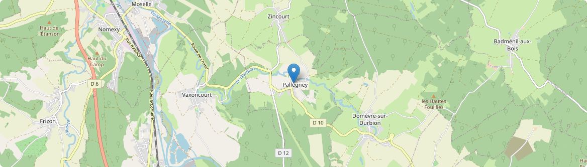 Pallegney - Carte