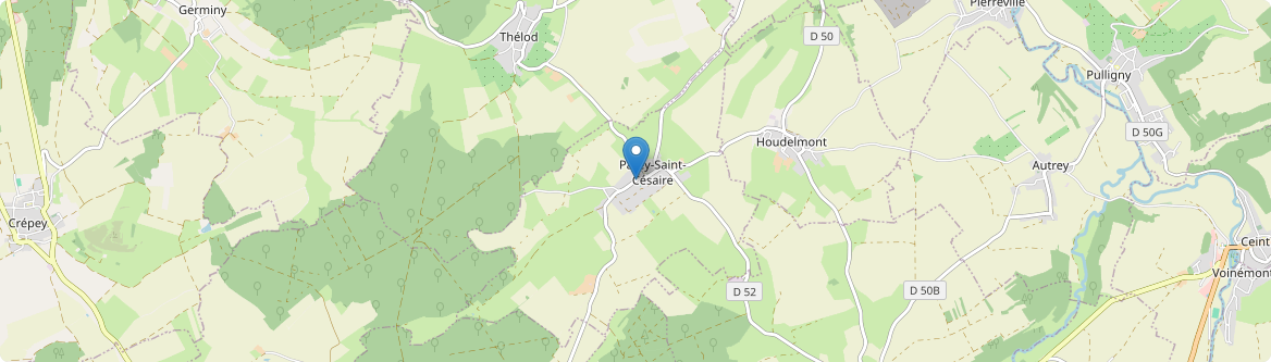 Parey-Saint-Césaire - Carte