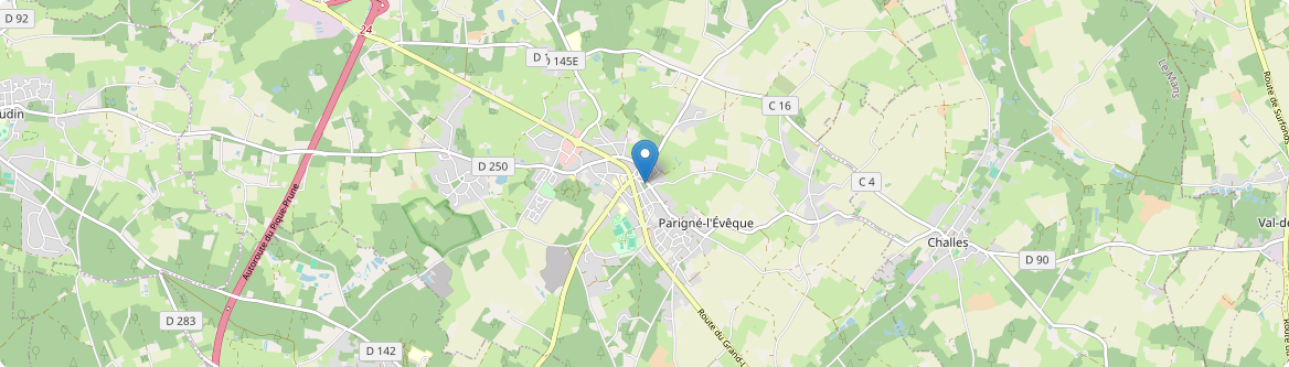 Parigné-l'Évêque - Carte
