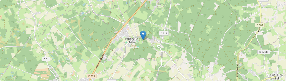 Parigné-le-Pôlin - Carte