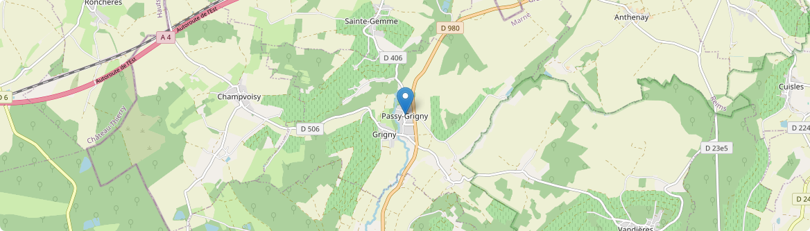 Passy-Grigny - Carte