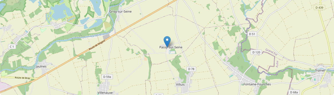 Passy-sur-Seine - Carte
