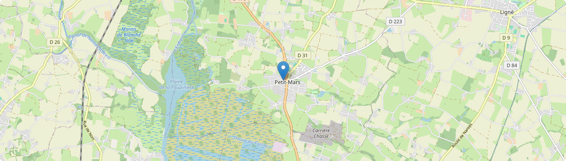 Petit-Mars - Carte