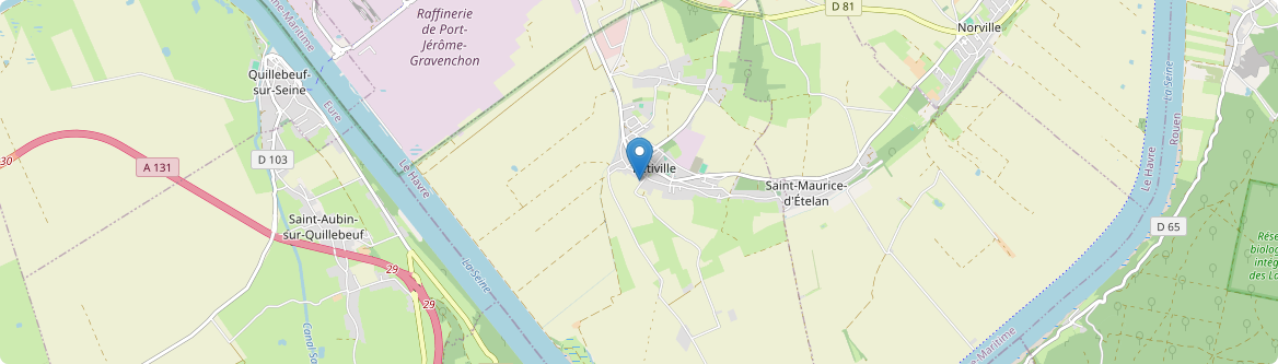 Petiville - Carte