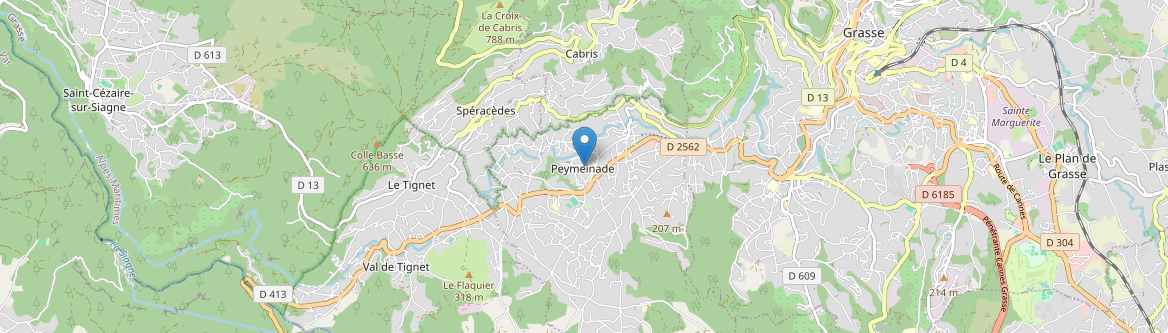 Peymeinade - Carte