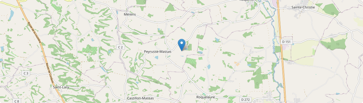 Peyrusse-Massas - Carte