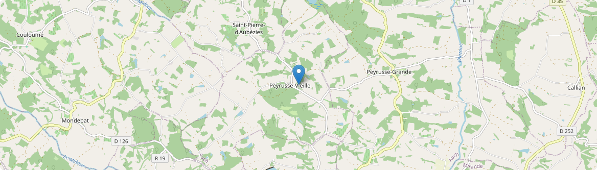 Peyrusse-Vieille - Carte