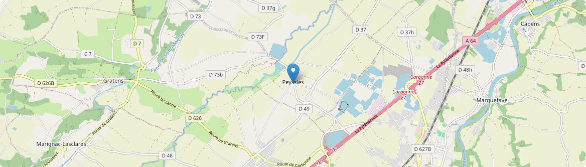 Peyssies - Carte