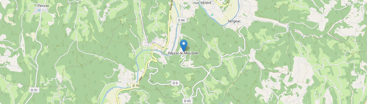 Peyzac-le-Moustier - Carte