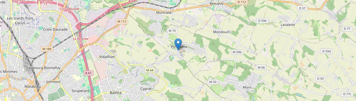Pin-Balma - Carte