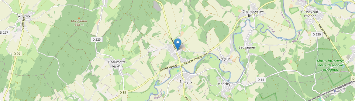 Pin - Carte