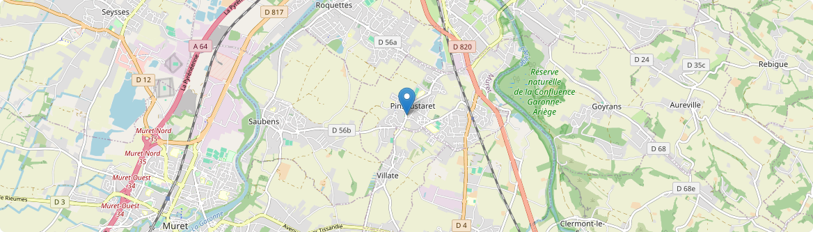 Pins-Justaret - Carte