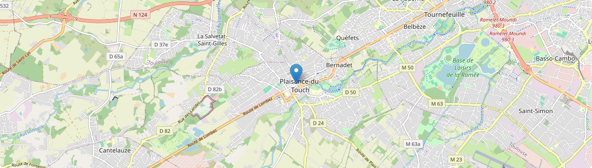 Plaisance-du-Touch - Carte