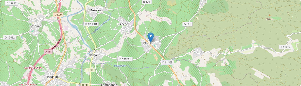 Plaissan - Carte