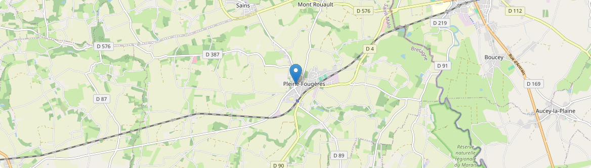 Pleine-Fougères - Carte
