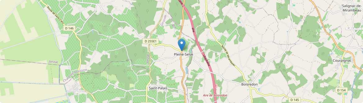 Pleine-Selve - Carte
