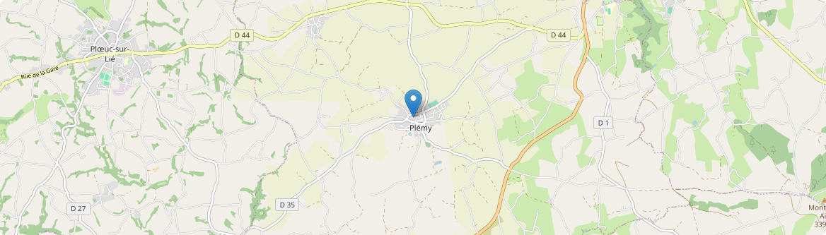 Plémy - Carte