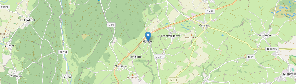 Plénise - Carte