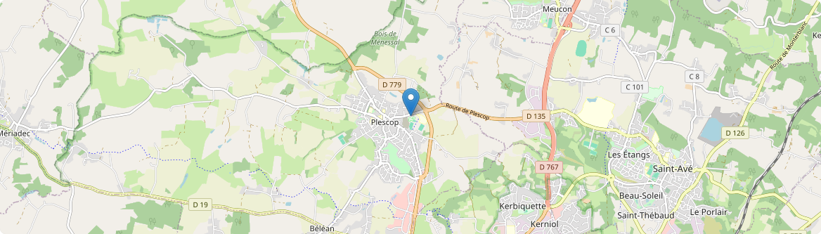 Plescop - Carte