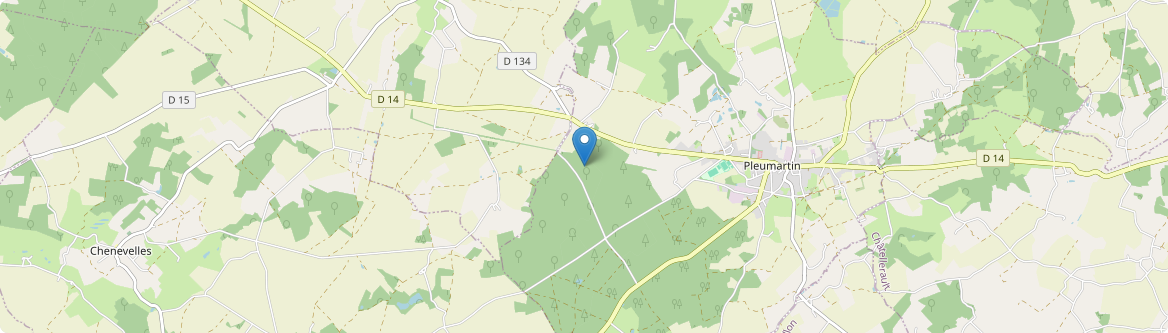 Pleumartin - Carte