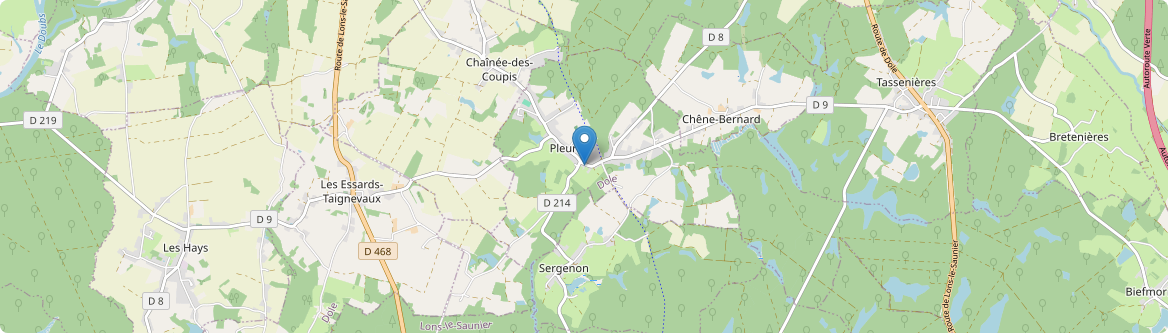 Pleure - Carte
