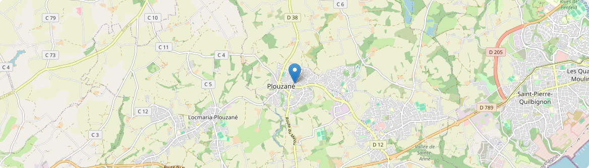 Plouzané - Carte