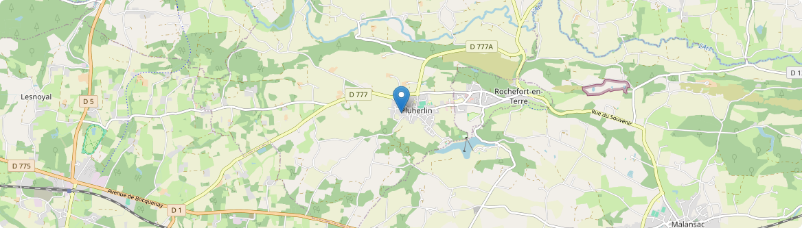 Pluherlin - Carte
