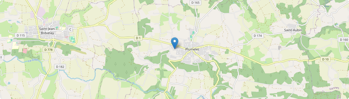 Plumelec - Carte