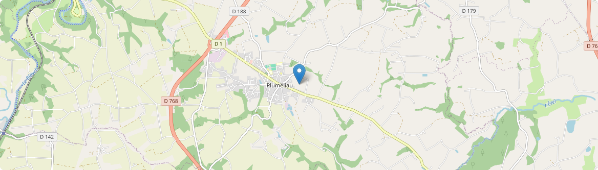 Pluméliau-Bieuzy - Carte