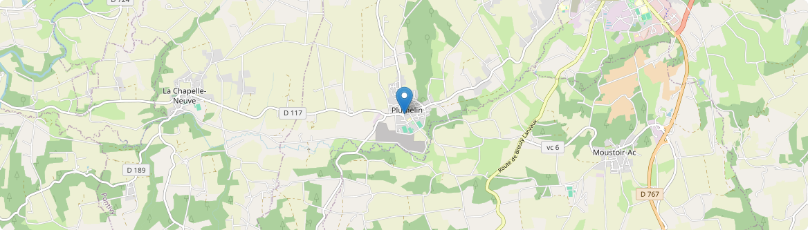 Plumelin - Carte