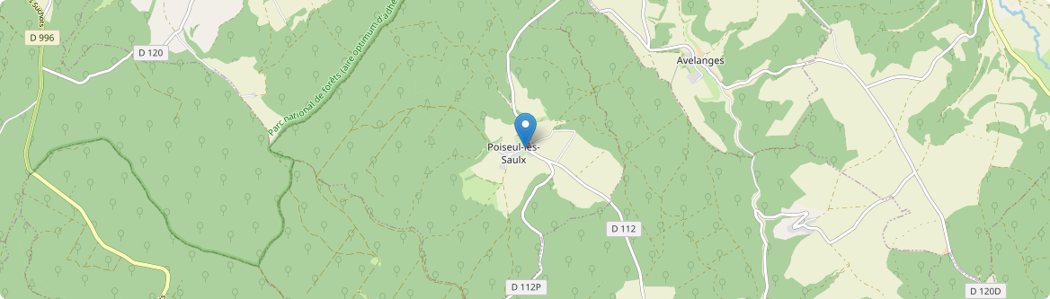 Poiseul-lès-Saulx - Carte