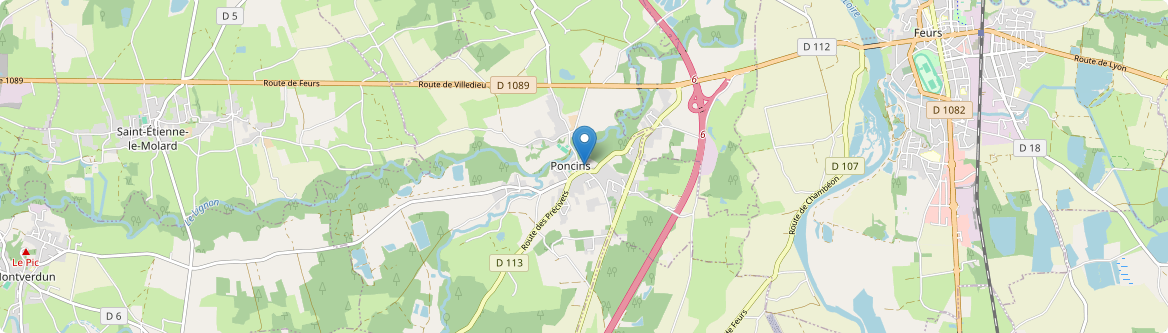 Poncins - Carte