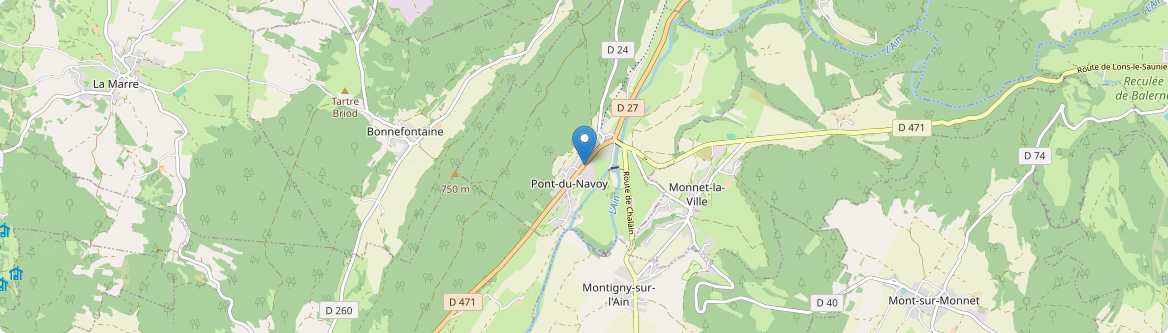 Pont-du-Navoy - Carte
