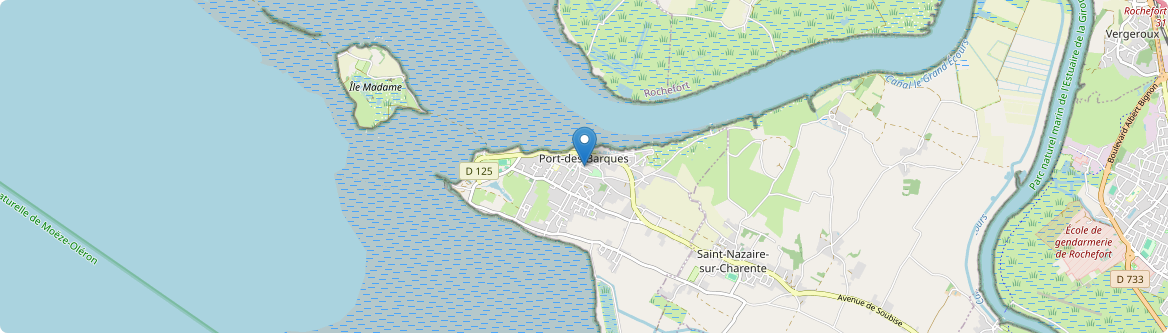 Port-des-Barques - Carte