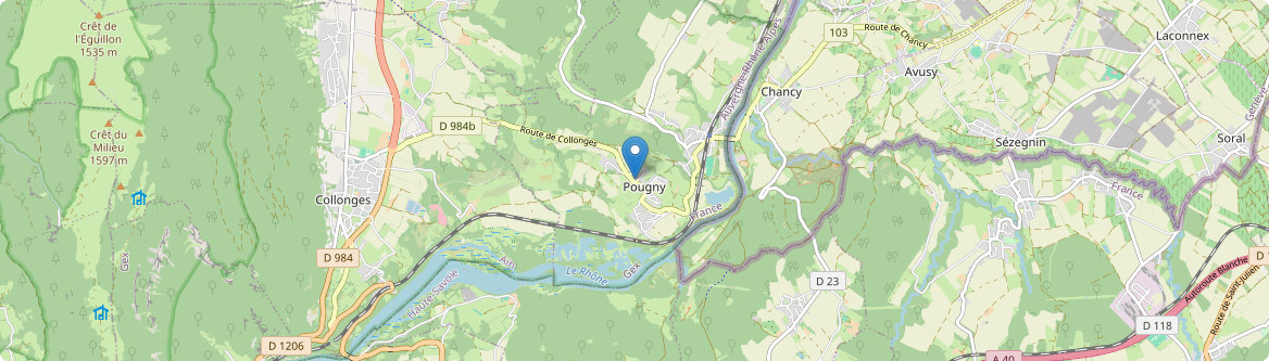 Pougny - Carte