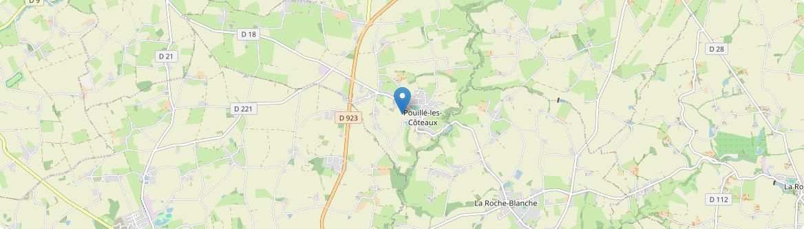Pouillé-les-Côteaux - Carte