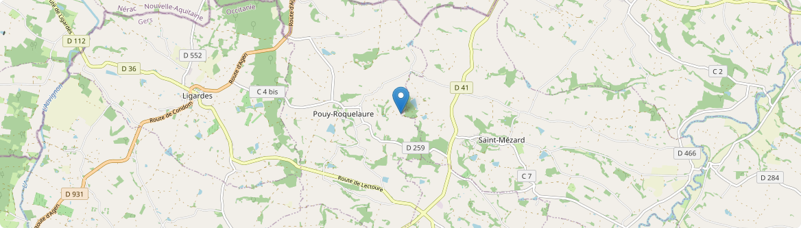 Pouy-Roquelaure - Carte