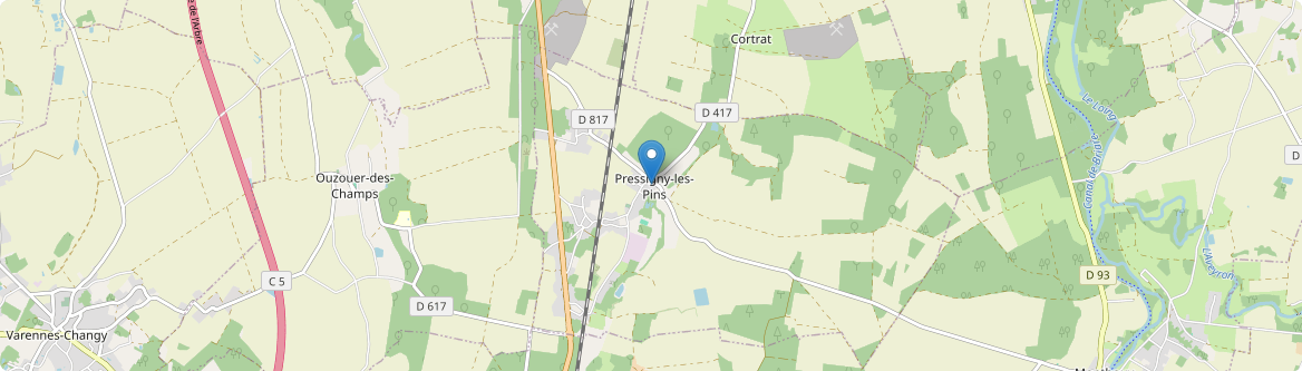 Pressigny-les-Pins - Carte