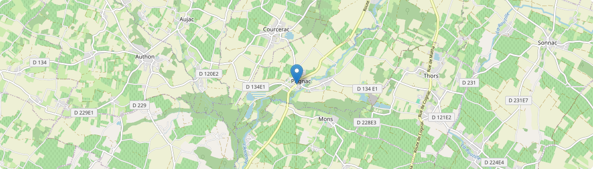 Prignac - Carte