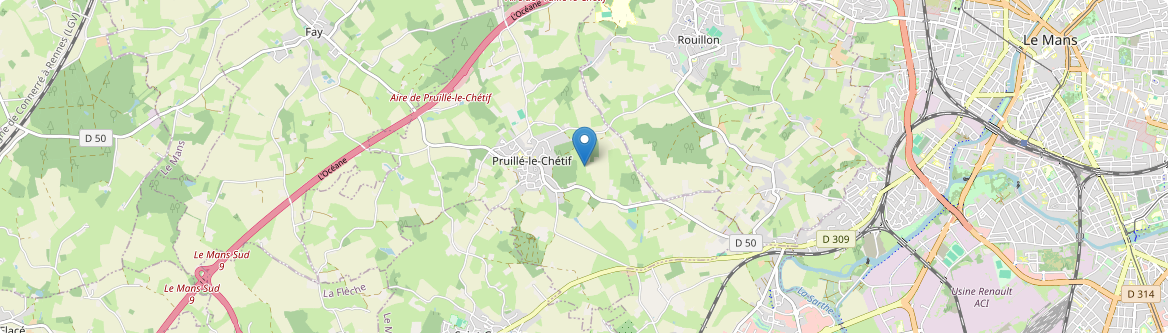Pruillé-le-Chétif - Carte