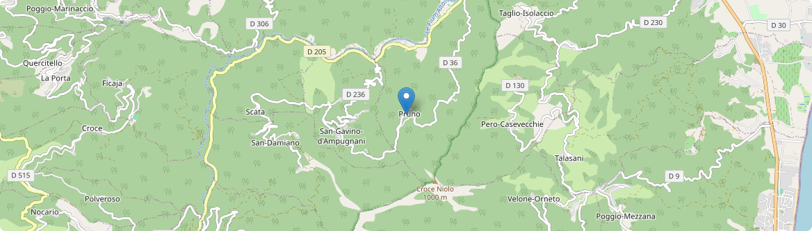 Pruno - Carte
